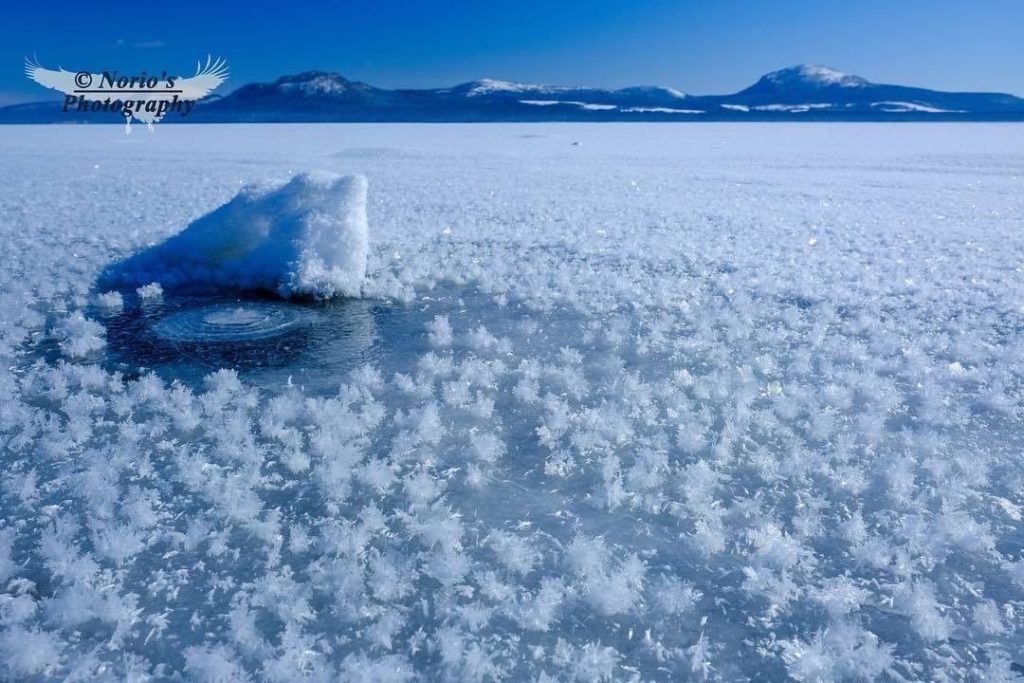Come to capture these amazing #frostflowers in full bloom on #LakeAkan. This rar...
