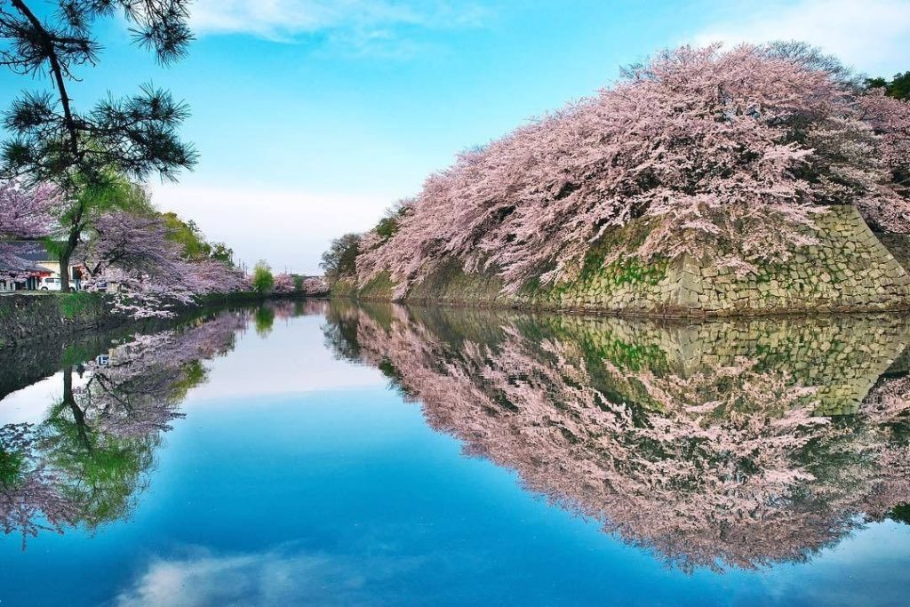 Visit Japan: Get on board a #Yakatabune tour-boat and glide through the inner moats of #Hikon… Get on board a #Yakatabune tour-boat and glide through the inner moats of #Hikon...