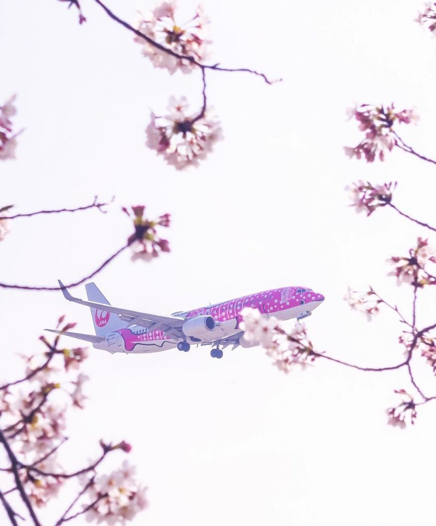 .⠀
#JAL #ChargeUpMarch A Sakura-colored Jinbei Jet looks right at home when view...