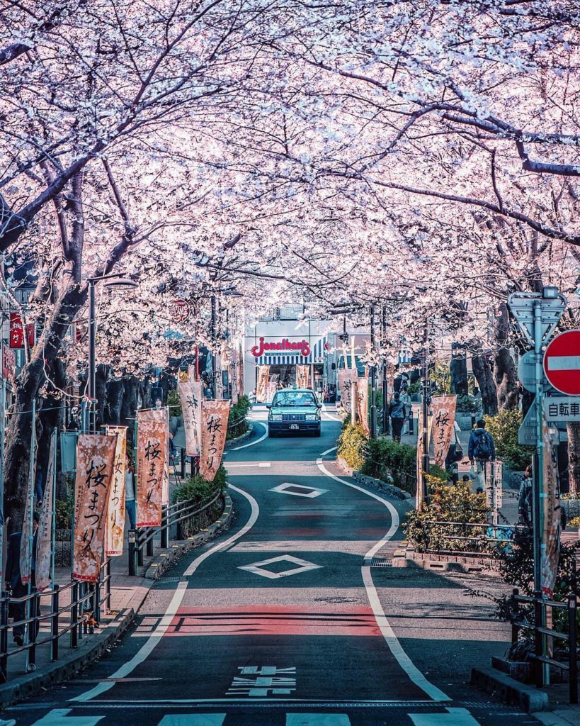 We can't stop sharing #sakura photos! Here's @moto_ph0t0 in Shibuya - get out of...