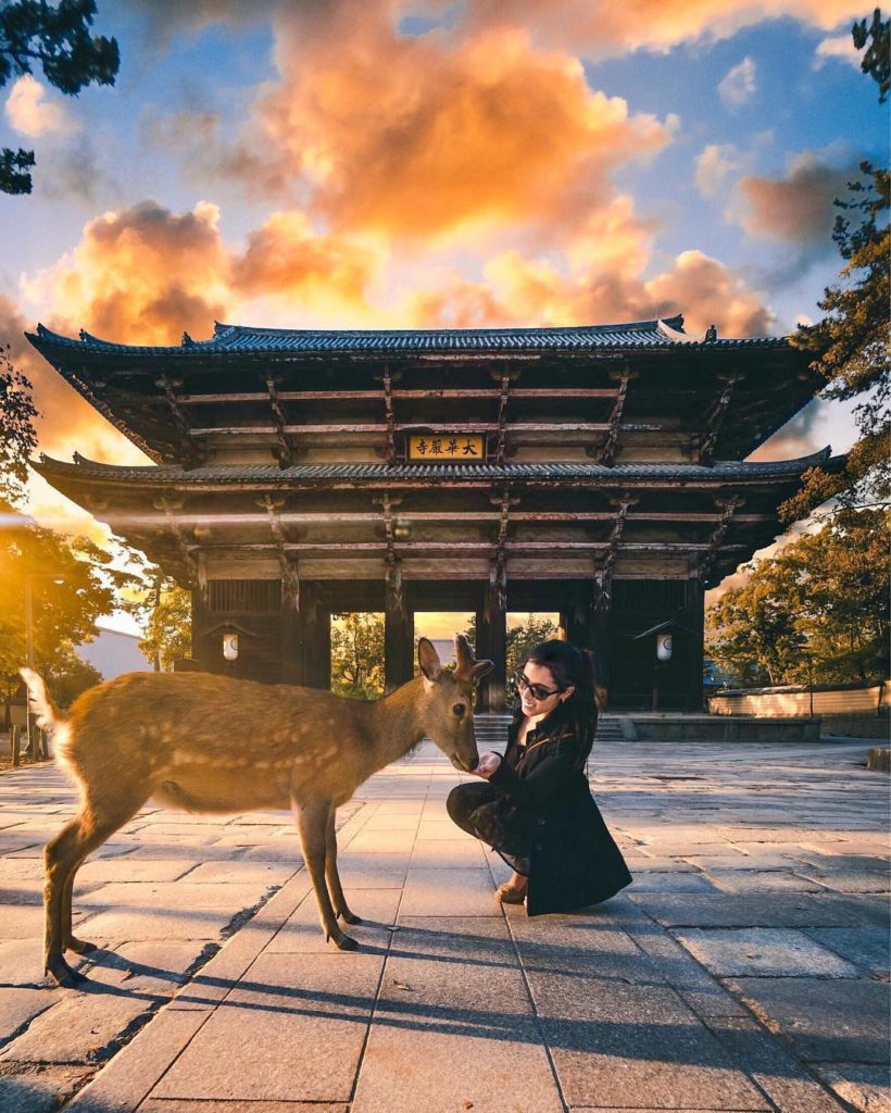 ⠀
A chance encounter with a deer at Todai-ji, Nara Prefecture. #JAL #MyAprilAdve...