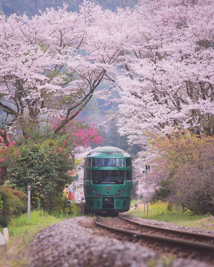 Have you seen a more beautiful train station? If you're in Kyushu down south, ch...