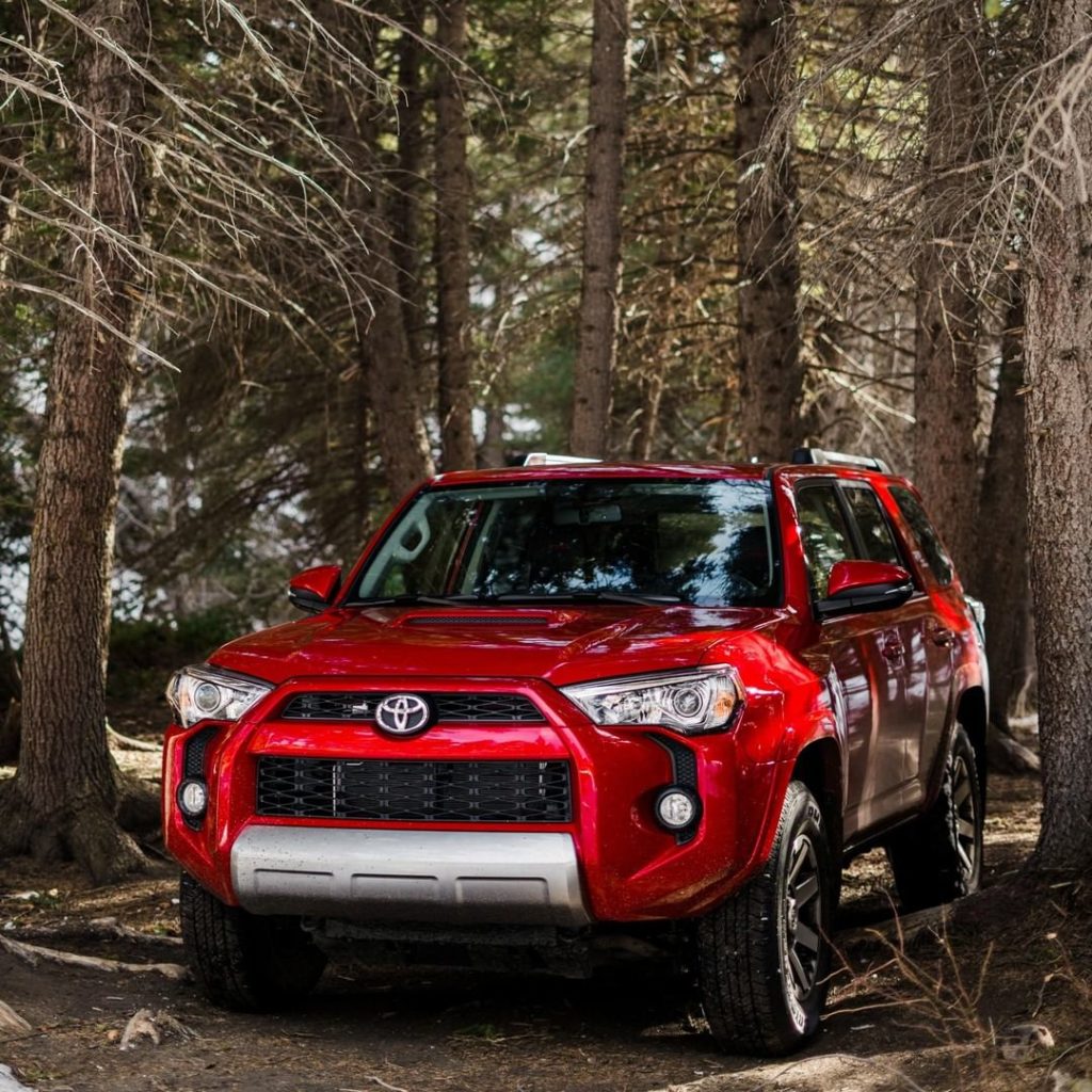 Be one with nature. #4Runner #LetsGoPlaces...