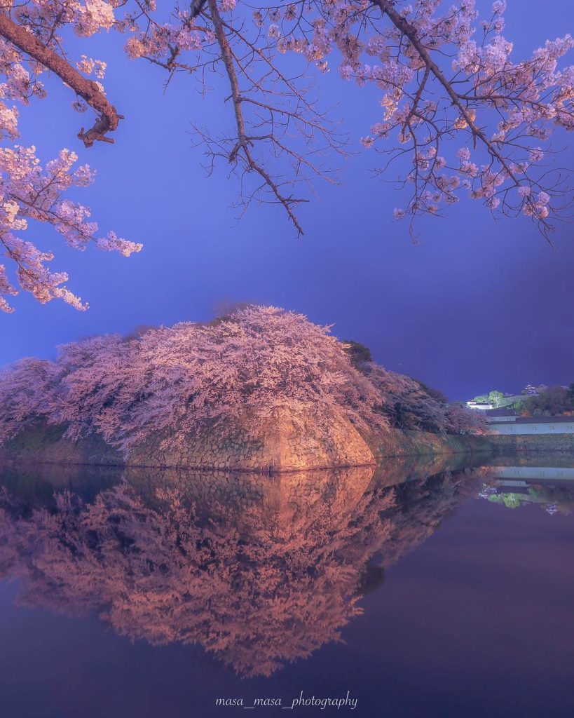 Japan Travel: If you didn’t know, Hikone Castle’s moat is just as beautiful as the castle itse… If you didn't know, Hikone Castle's moat is just as beautiful as the castle itse...