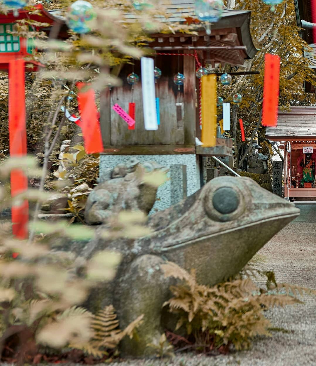 Visit Japan Like frogs? (It's niche we know!) But if you do, a visit