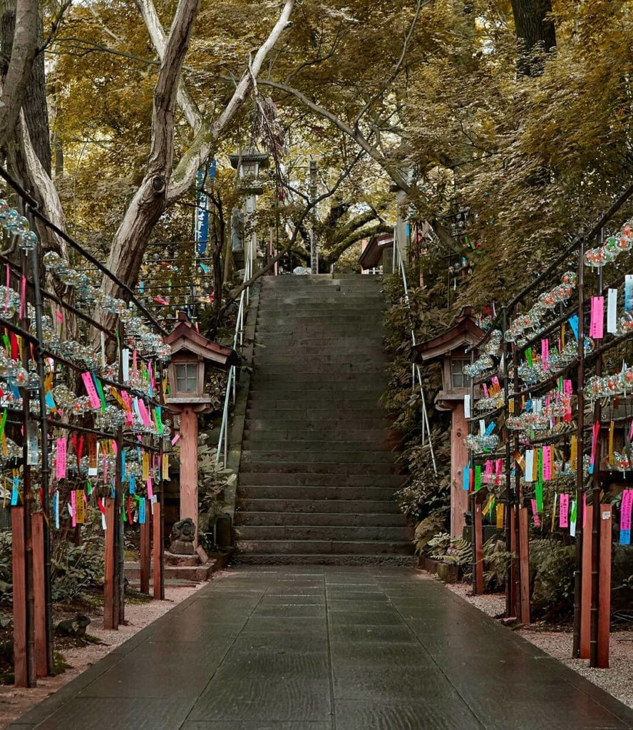 Visit Japan: Like frogs? (It’s niche we know!) But if you do, a visit to the bizarre and enc… Like frogs? (It's niche we know!) But if you do, a visit to the bizarre and enc...