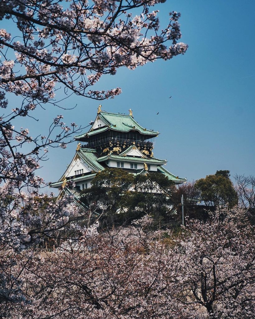 Japan Travel: Osaka Castle framed by cherry blossoms is one of the best views in Japan ! We ho… Osaka Castle framed by cherry blossoms is one of the best views in Japan ! We ho...