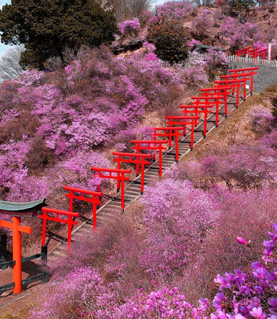 Visit Japan: If you’re visiting Kyoto this month, consider taking a day trip to Miyazu, appro… If you're visiting Kyoto this month, consider taking a day trip to Miyazu, appro...