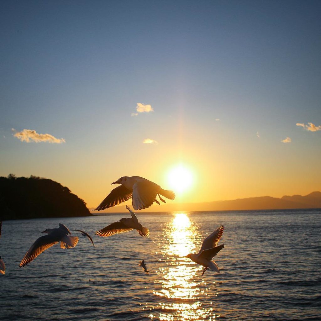 This is #Enoshima, where the #Tokyo2020 sailing competitions will be held. It is...