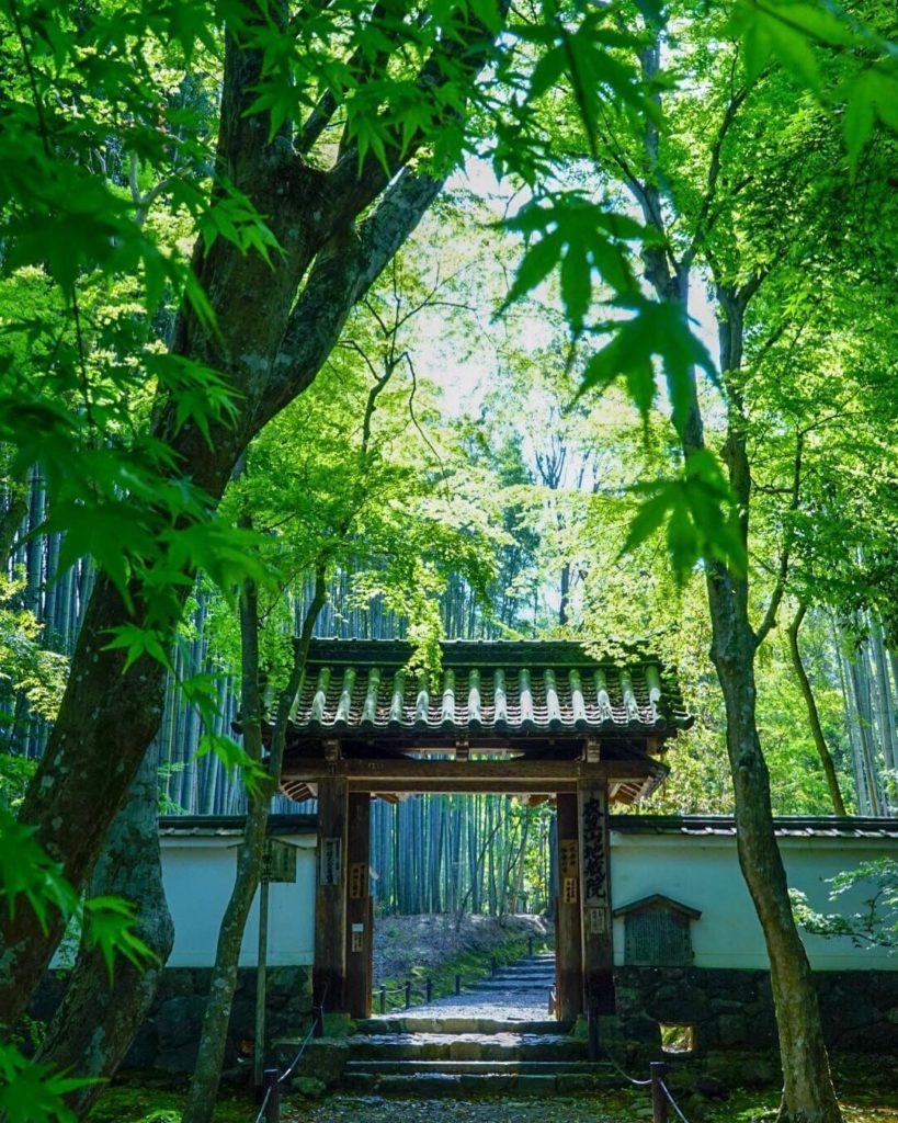 Japan Travel: This Saturday in Japan is Greenery Day, a national holiday which centers around … This Saturday in Japan is Greenery Day, a national holiday which centers around ...