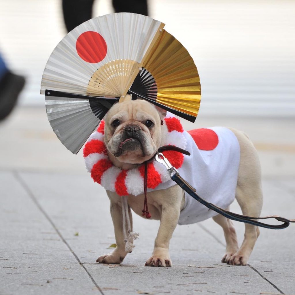 People waved their flags (and dressed up their dogs) to celebrate Emperor Naruhi...