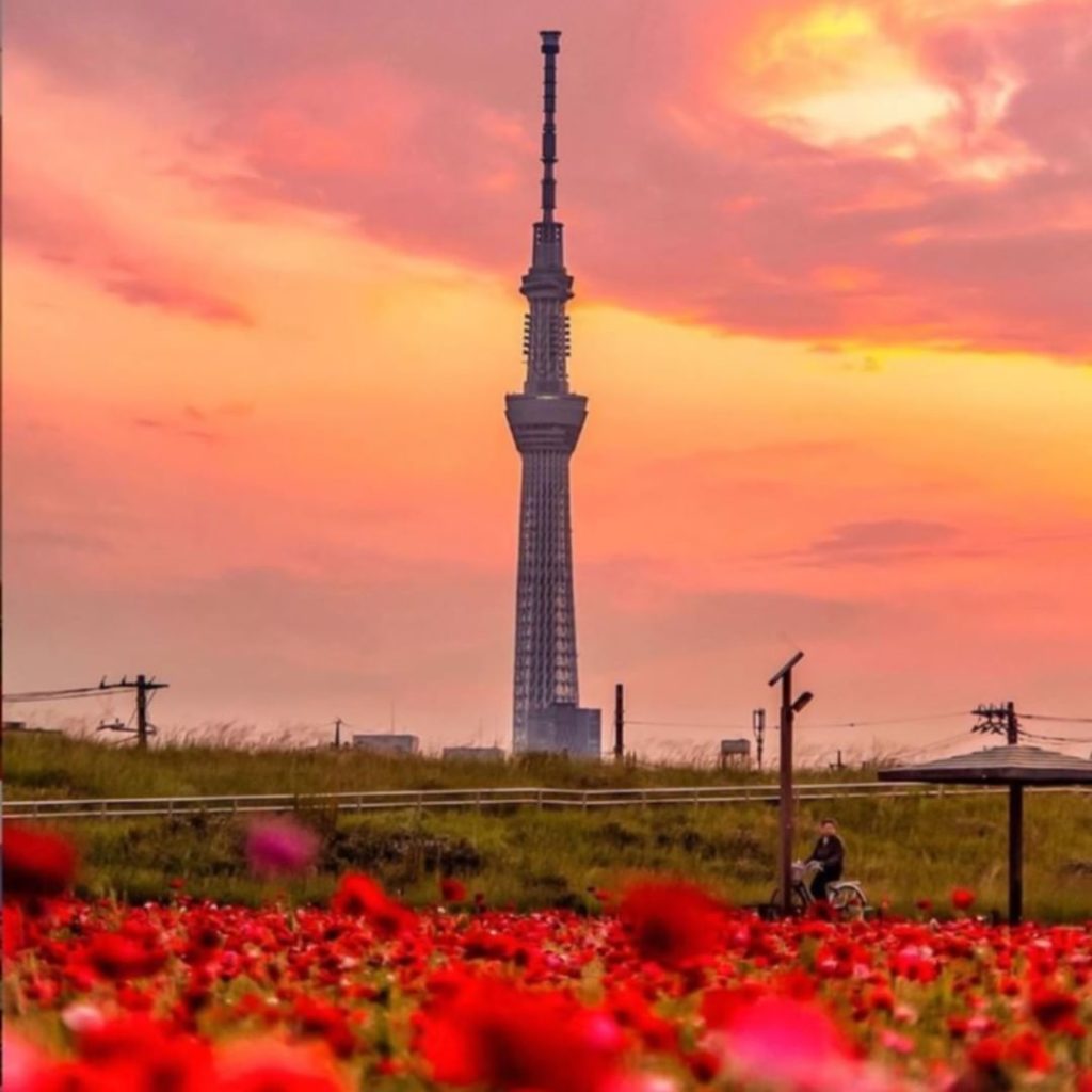 Visit Japan: Tokyo Skytree looks even more dramatic at sunset! The Arakawa River is a great s… Tokyo Skytree looks even more dramatic at sunset! The Arakawa River is a great s...