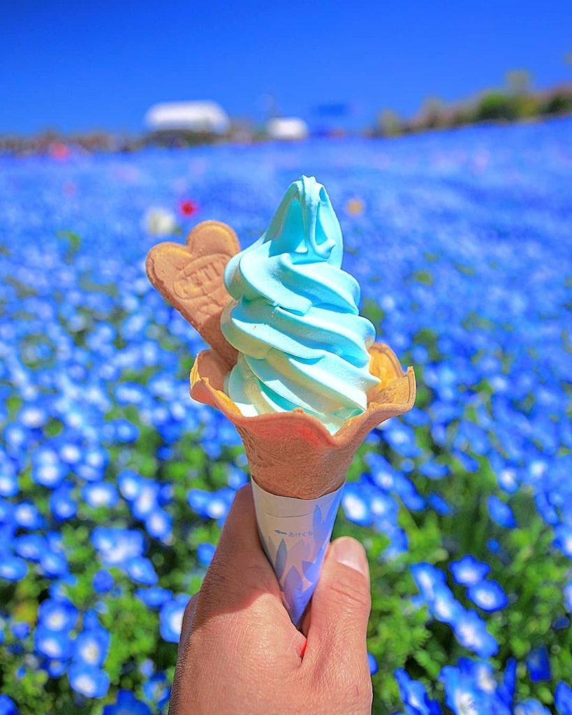 Want to go one better than seas of blue nemophila flowers blanketing the ground?...