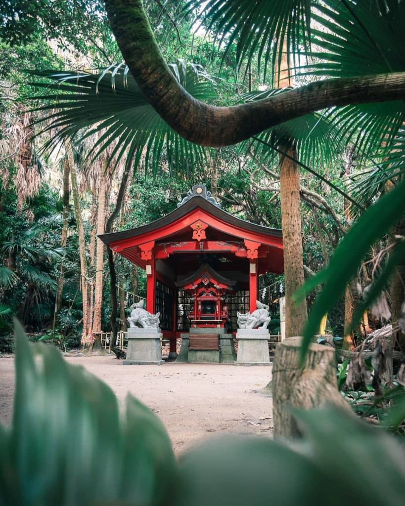 Japan Travel: Peek-a-boo!  @julianjowise captured this shot at Aoshima Shrine in Miyazaki Pref… Peek-a-boo!  @julianjowise captured this shot at Aoshima Shrine in Miyazaki Pref...