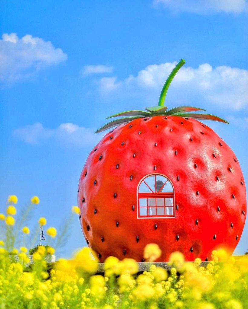 Waiting for a bus has never been so adorable!  The Isahaya region of Nagasaki ha...