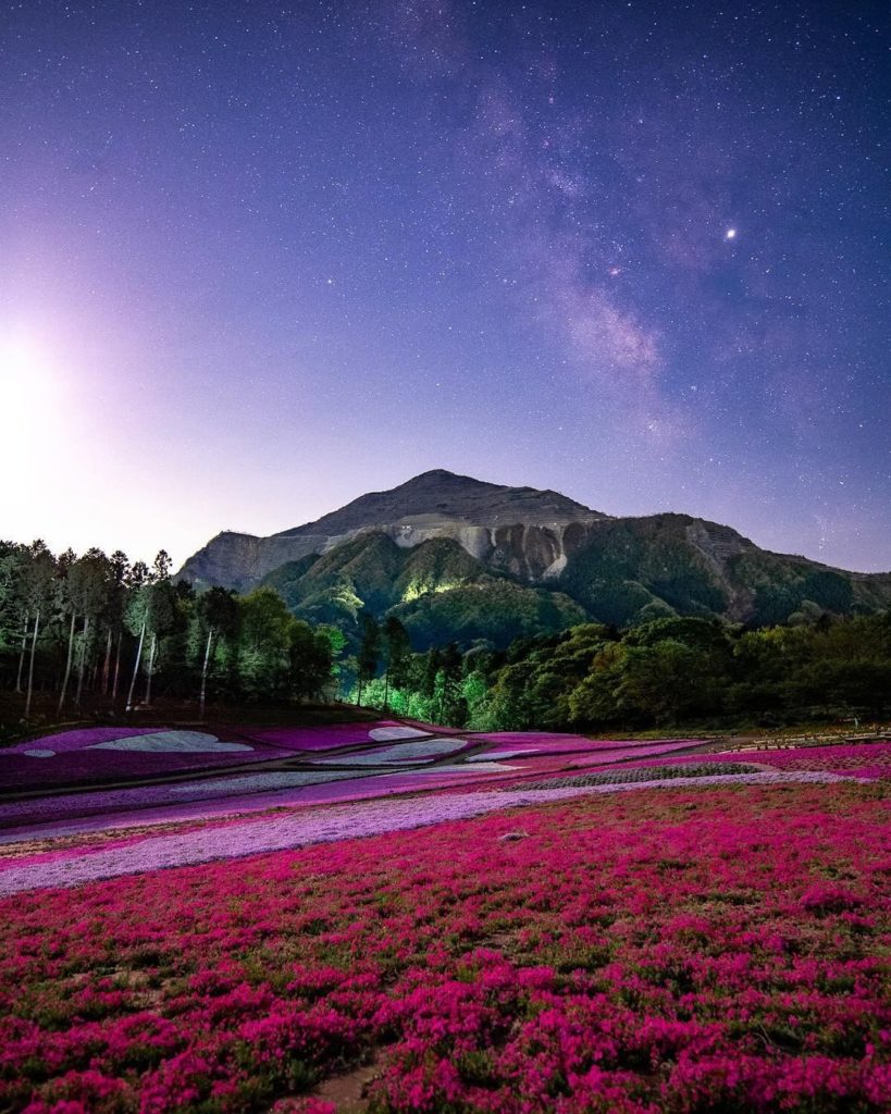 Japan Travel: We are still loving the fields of shibazakura popping up in many places across t… We are still loving the fields of shibazakura popping up in many places across t...