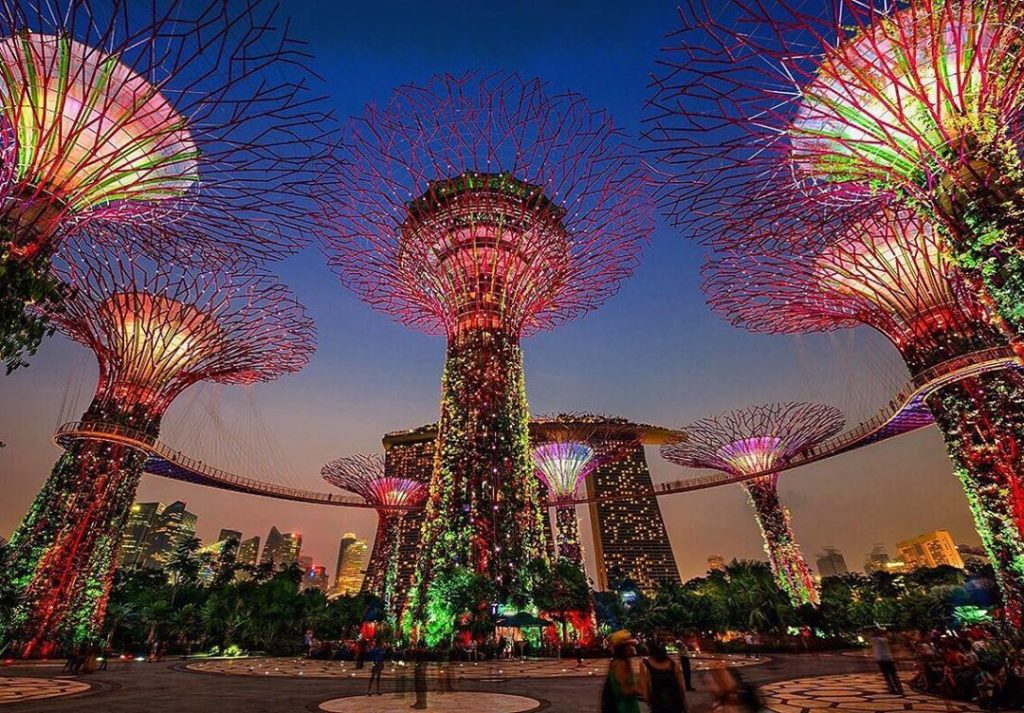 Japan Airline: .
Walking in the beautiful and futuristic Supertree Grove in Singapore is like b… .
Walking in the beautiful and futuristic Supertree Grove in Singapore is like b...