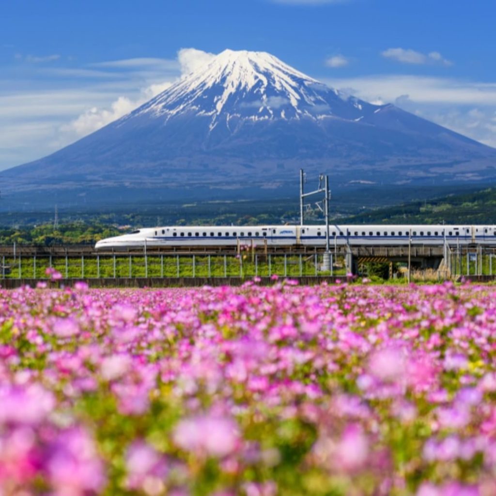 Visit Japan: Hop on the bullet train and head out on an adventure!
Follow @visitjapanjp for … Hop on the bullet train and head out on an adventure!
Follow @visitjapanjp for ...