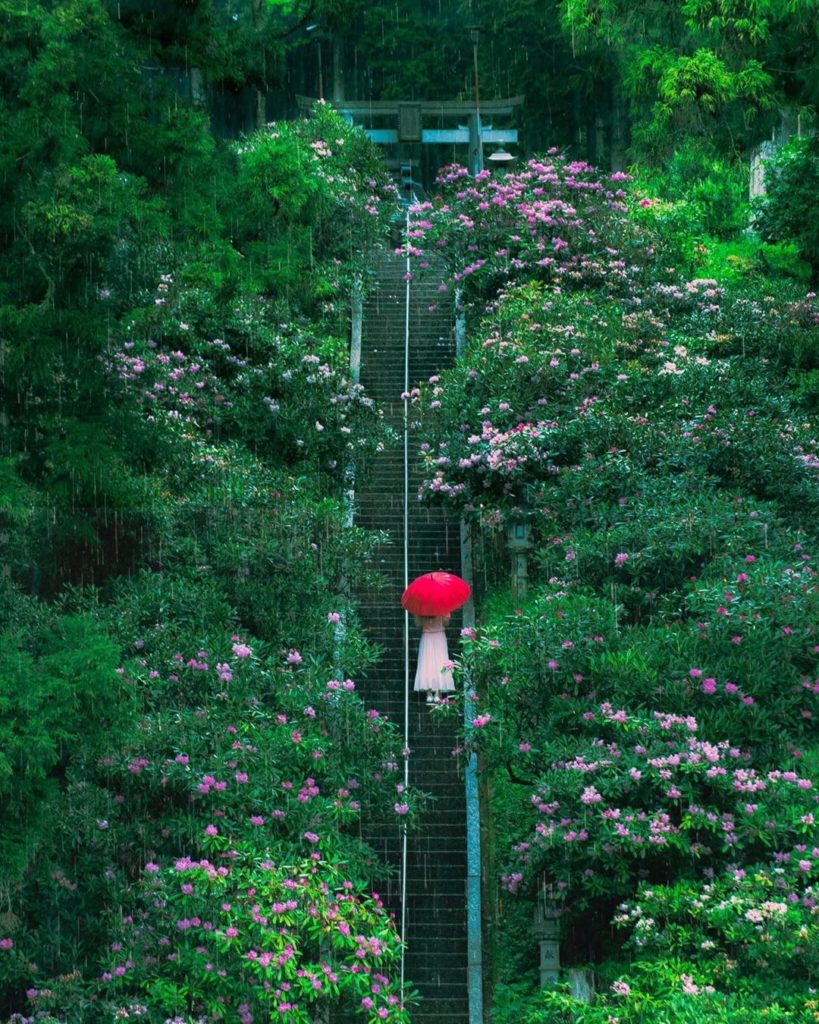 Rain, rain, go away...or on second thoughts, maybe you can stay - especially whe...