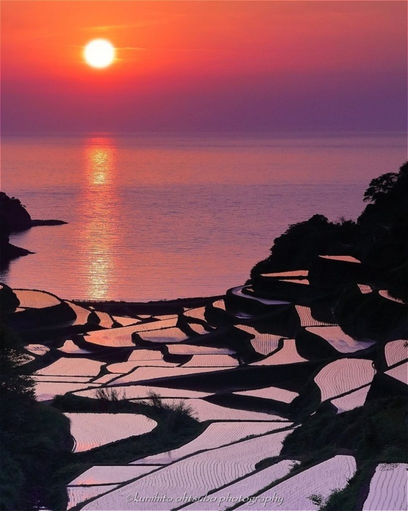 These rice fields in Hamanoura (Shiga Prefecture) cover the slopes facing the co...