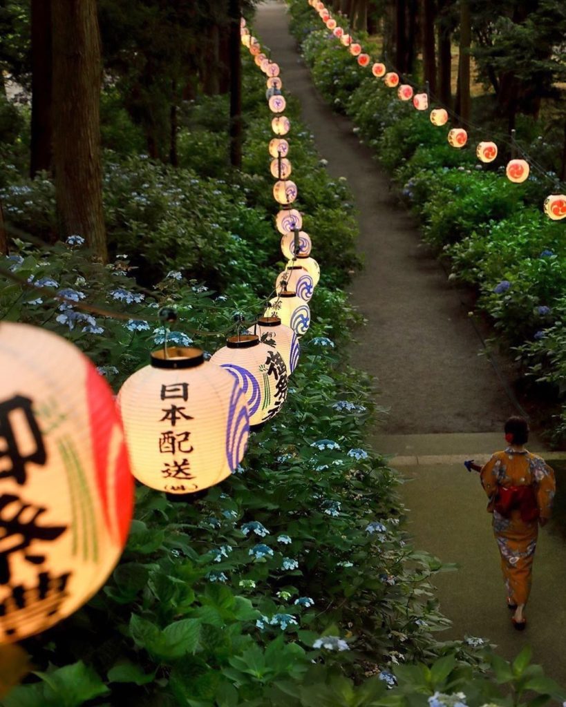 The beauty of nature, illuminated! @kotankotankotan182 was at Tochigi's Isoyama ...