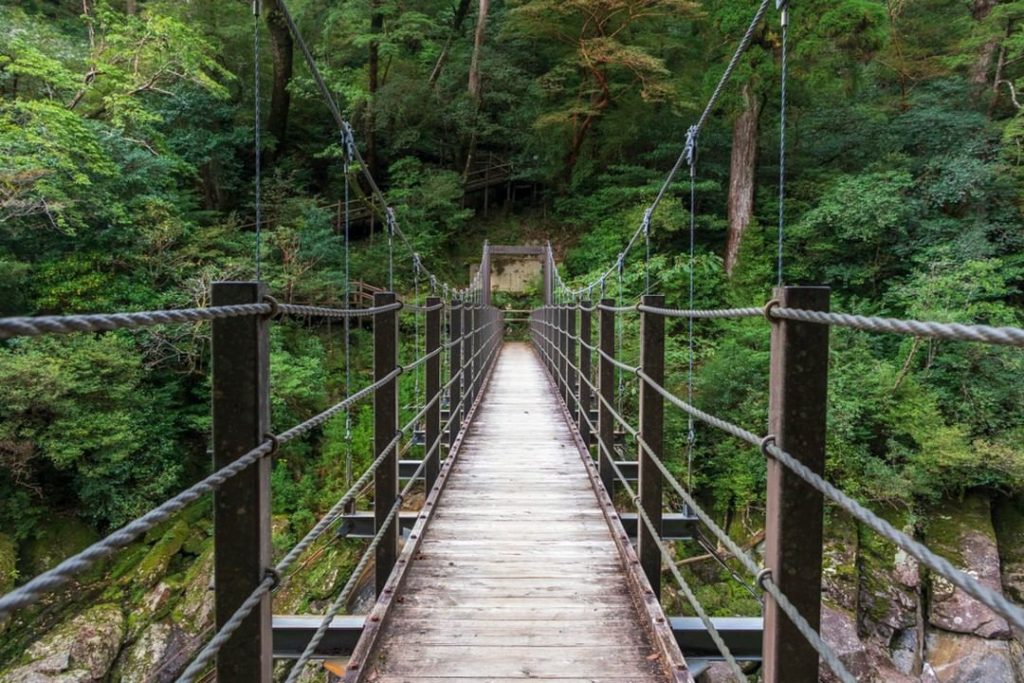 Ready for true adventure? Check out lush Yakushima, the inspiration for the famo...