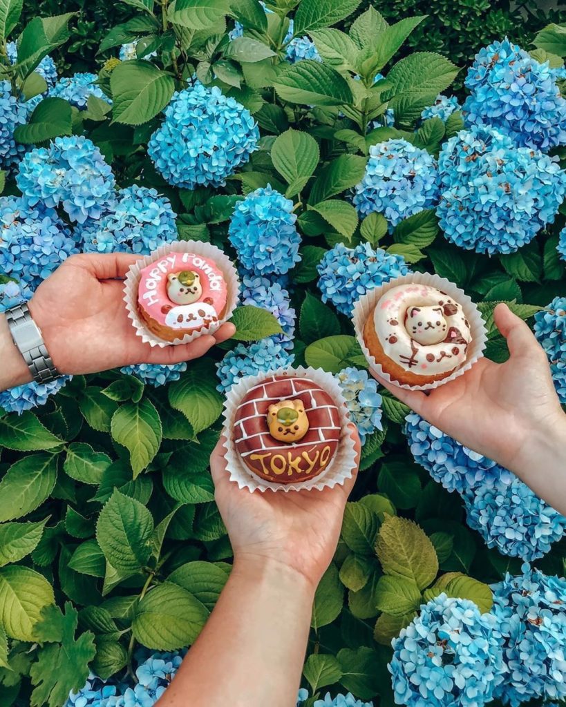 Japan Travel: We’re suckers for cute eats, and @puno3000 picked these up at Siretoco Donuts! … We're suckers for cute eats, and @puno3000 picked these up at Siretoco Donuts! ...