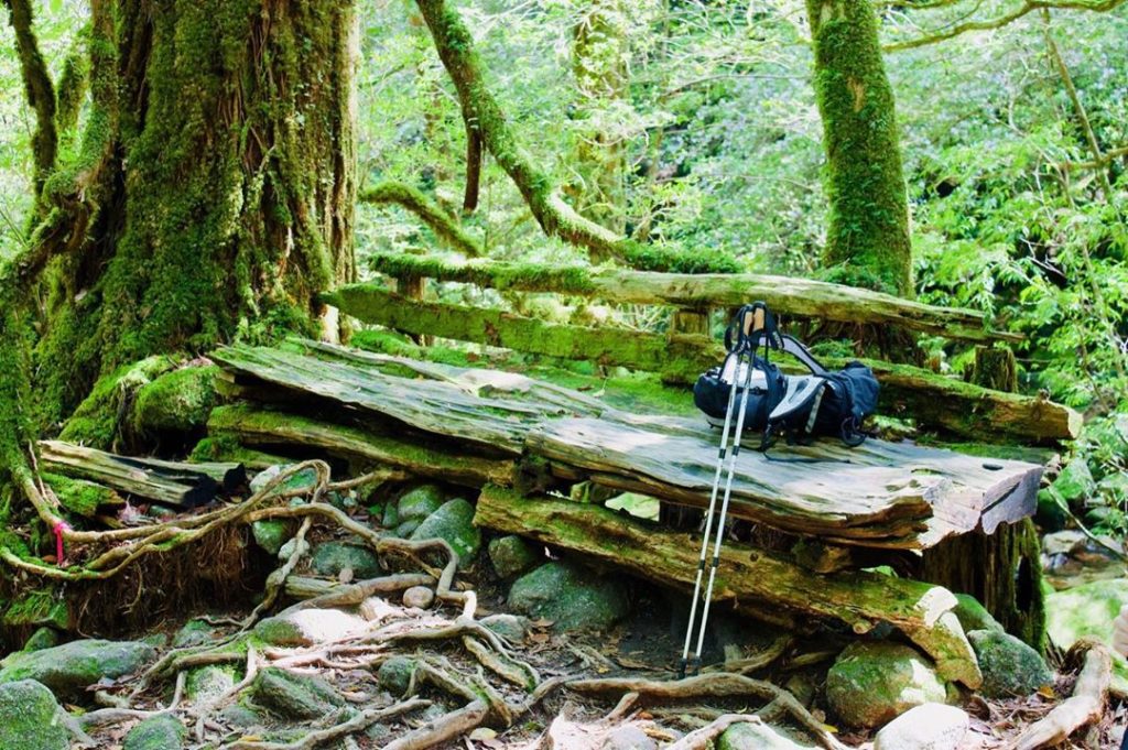 The Japan Times: The forests are what draw people to Yakushima, famous for inspiring the scenery … The forests are what draw people to Yakushima, famous for inspiring the scenery ...