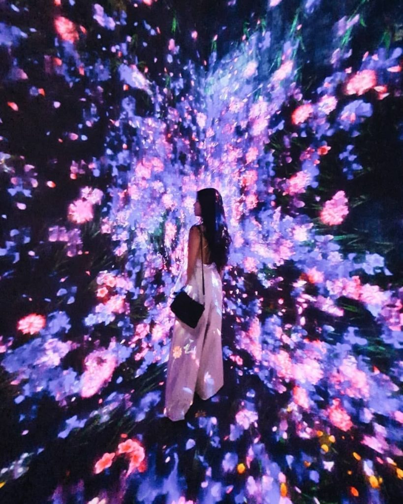 Japan Travel: Heard of TeamLab Borderless? The concept behind it is perhaps as the name sugges… Heard of TeamLab Borderless? The concept behind it is perhaps as the name sugges...