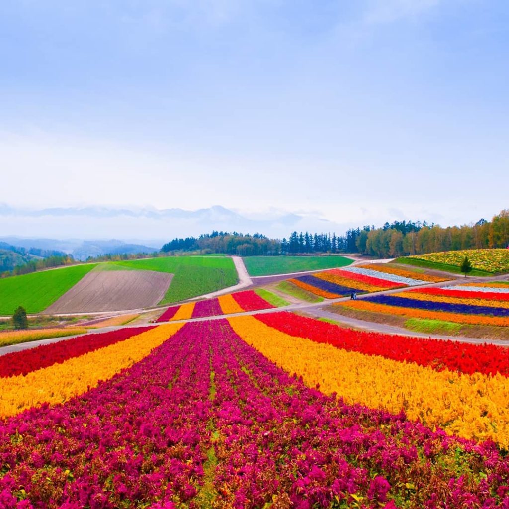 Visit Japan: Located in the heart of Japan’s northern island of Hokkaido, Furano is a nature-… Located in the heart of Japan’s northern island of Hokkaido, Furano is a nature-...