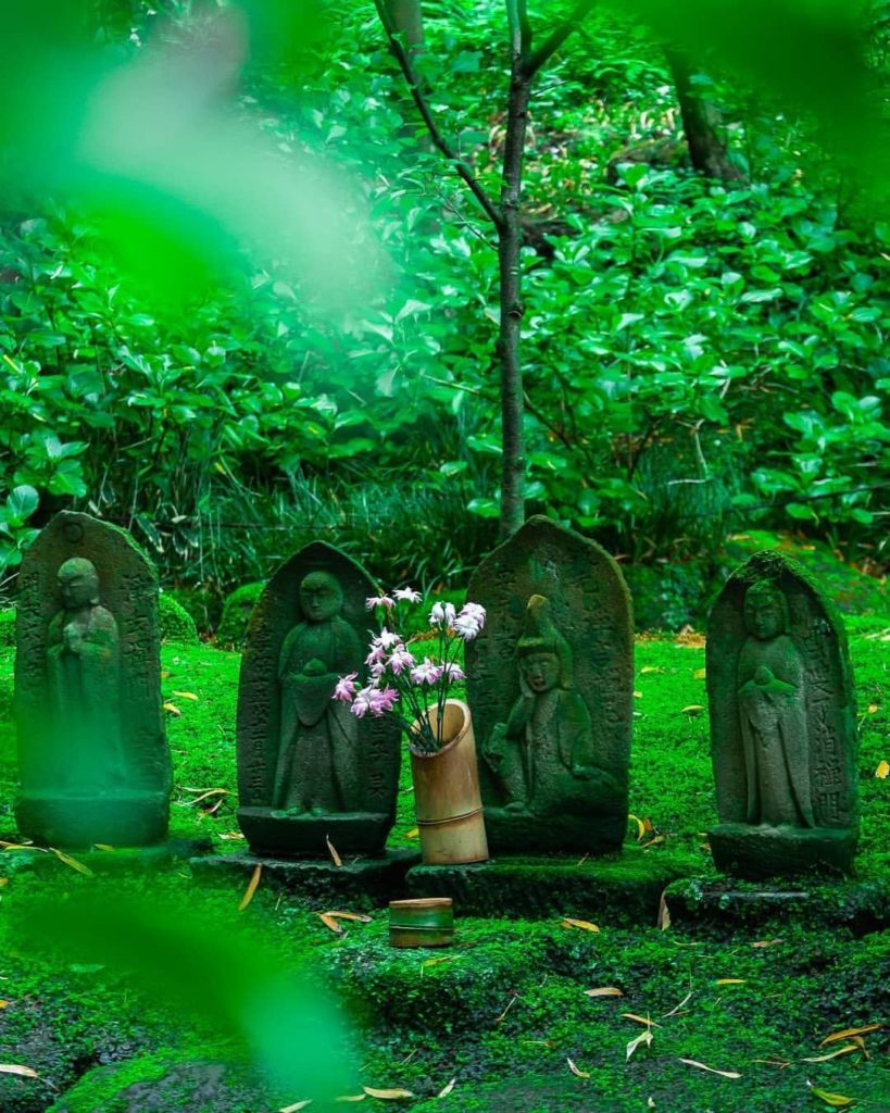 Japan Travel: Lush summer greenery at Kamakura’s Hokoku-ji Temple.
: @clem_sa66
—–⠀
Hokok… Lush summer greenery at Kamakura's Hokoku-ji Temple.
: @clem_sa66
-----⠀
Hokok...