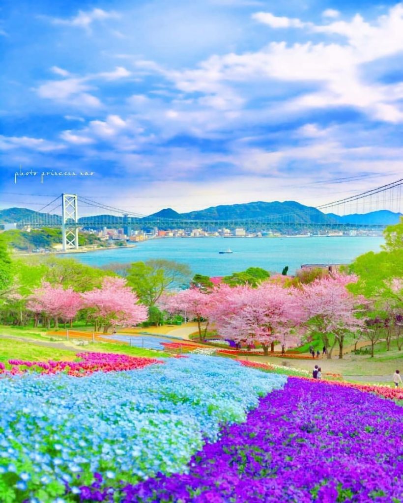 Anyone else find themselves missing cherry blossom season during these humid sum...