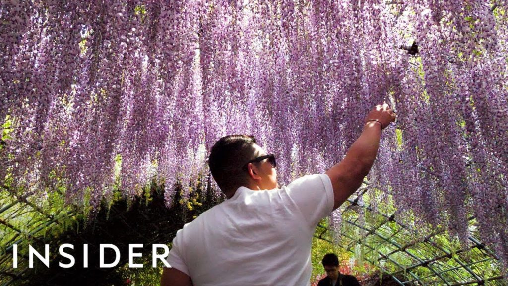 Why Japan Was The Best Place To Travel In 2018