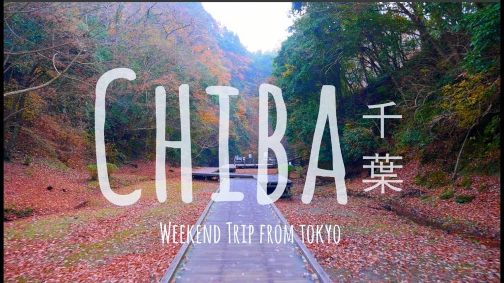 CHIBA, JAPAN // 千葉 (Weekend trip from Tokyo)