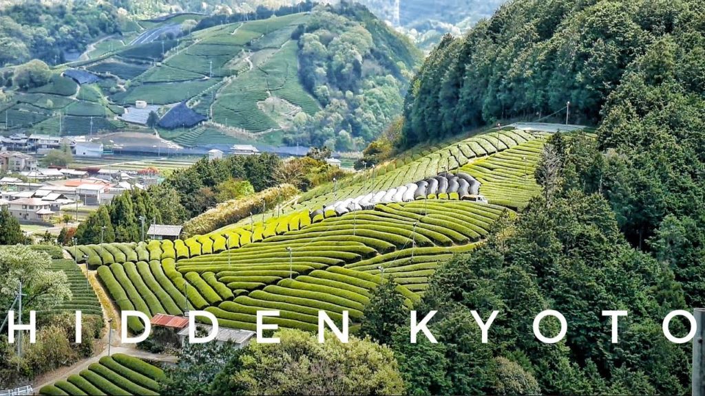 Kyoto Hidden Spots: Japanese Tea Town Wazuka | Kyoto Travel Guide Kyoto Hidden Spots: Japanese Tea Town Wazuka | Kyoto Travel Guide