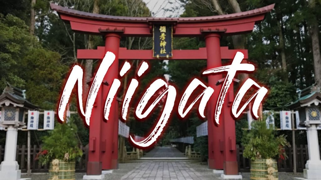Niigata - Cinematic Travel Video (2019)