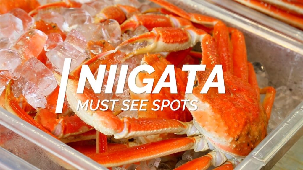 All about Niigata-Must see spots in Niigata | Japan Travel Guide