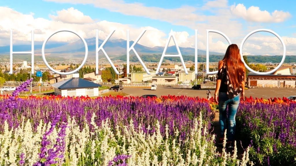 HOKKAIDO Travel Diary Day 3 | Otaru, Crazy Ice Cream And Furano