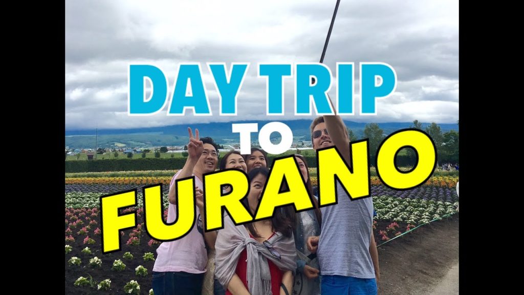 Furano Day Tour
