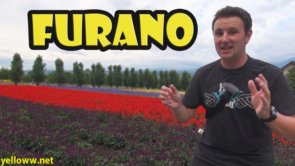 Furano Flower Fields of Hokkaido Japan