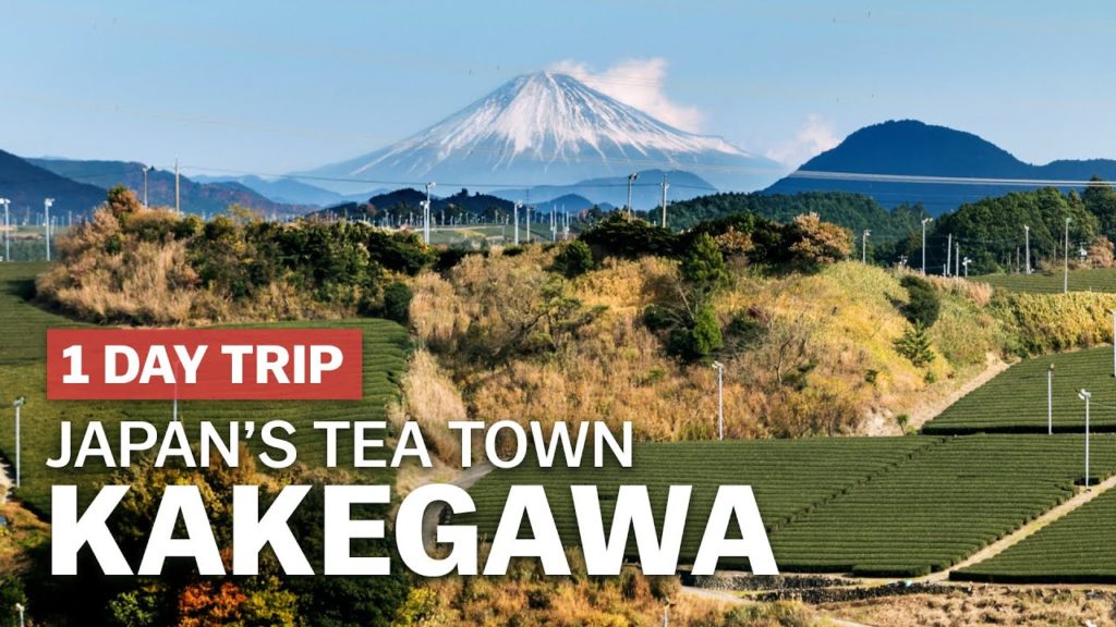 Exploring Japan's Tea Town, Kakegawa in Shizuoka | japan-guide.com Exploring Japan's Tea Town, Kakegawa in Shizuoka | japan-guide.com