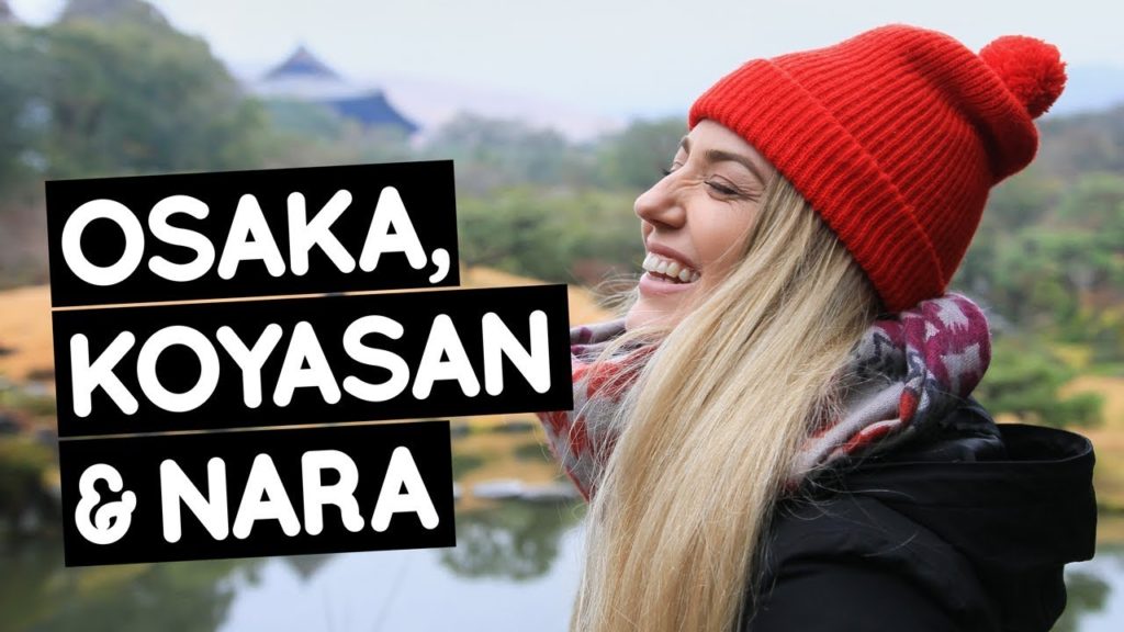 JAPAN Travel Guide: Osaka, Koyasan & Nara | Little Grey Box