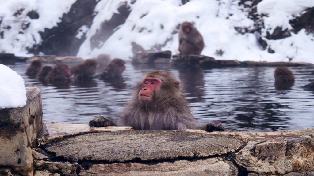 Nagano Tourist Attractions: 15 Top Places to Visit