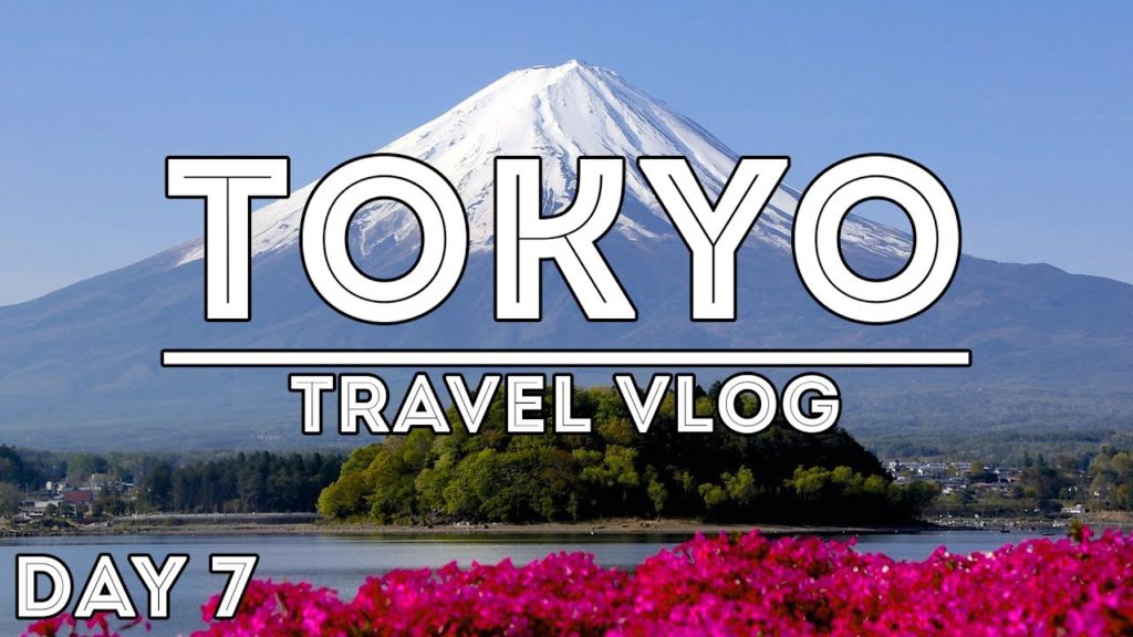 1 DAY MOUNT FUJI AND HAKONE TOUR /// TRAVEL VLOG: TOKYO, JAPAN //