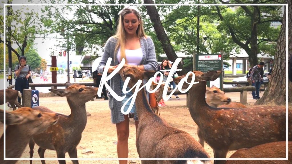 Best Spots in Kyoto | TRAVEL VLOG 21