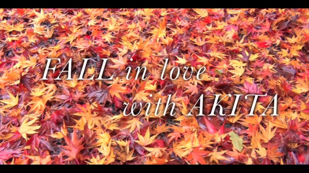 Travel North Japan - Fall in Love with Akita! - Go!Go!Tohoku!!