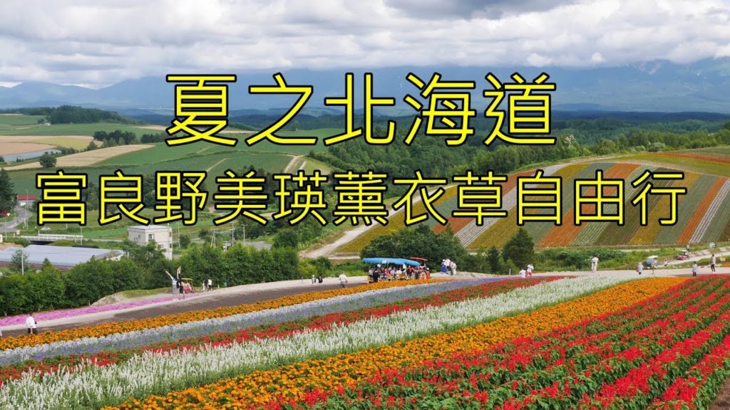 北海道美瑛富良野薰衣草自由行 Hokkaido Furano Biei travel