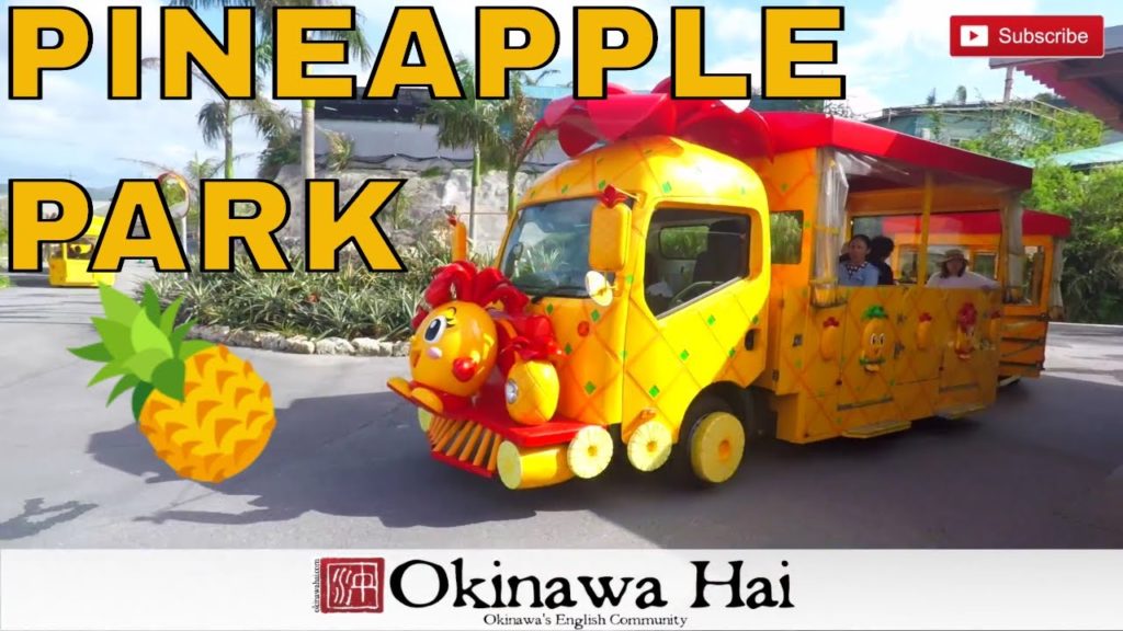 Nago Pineapple park Nago Pineapple park