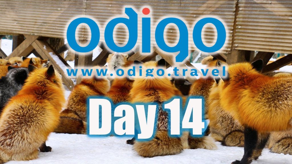 Miyagi Vlog: Fox Village and Sendai Daikannon [Ft. Kim Dao, Abroad in Japan & OkanoTV]