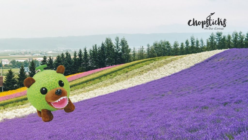 Furano Lavender Field and Juiciest Melon Ever! – Day 2 Hokkaido Road Trip Furano Lavender Field and Juiciest Melon Ever! - Day 2 Hokkaido Road Trip
